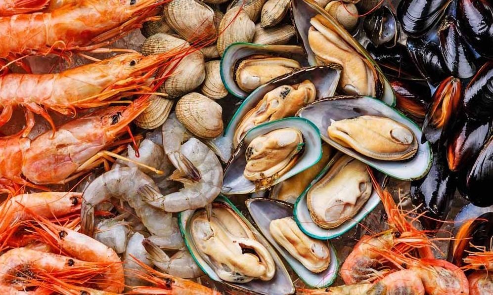 Donde comer marisco en la Eliana Valencia