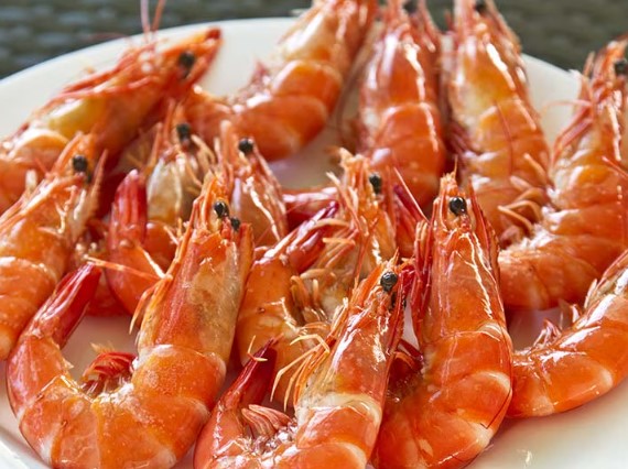 Marisco gallego en La Eliana