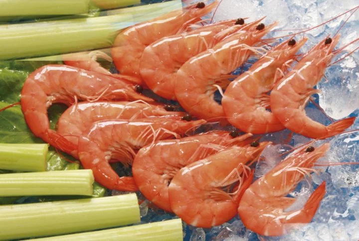 Marisco cocido en Camp de Turia